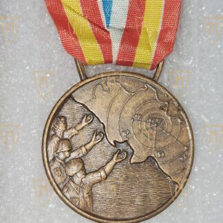 Medaglia Benemerenza Terremoto in Campania e Basilicata del 1980