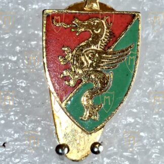 DISTINTIVO CALCIO TERNANA ANNI 70
