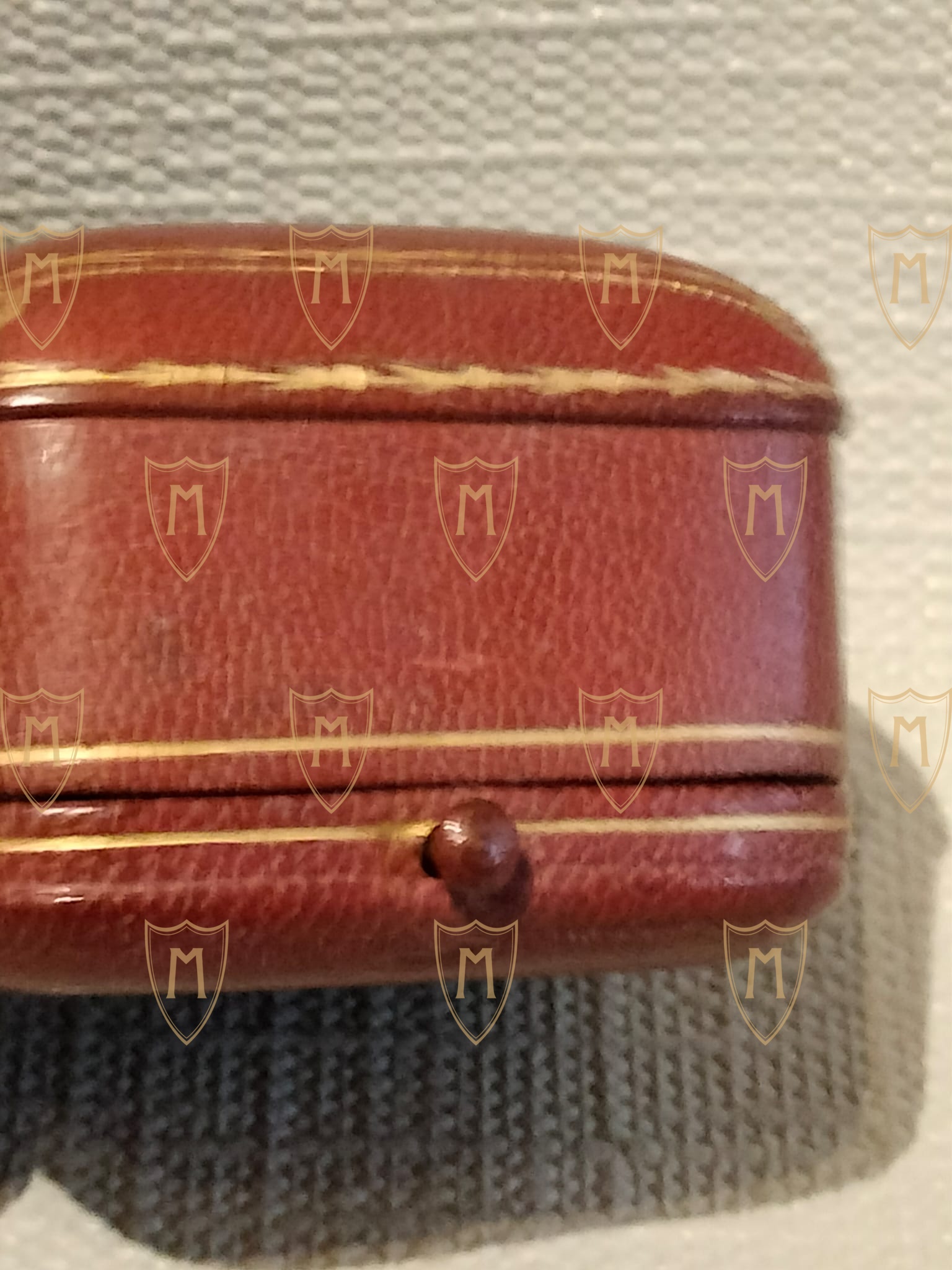 Anello Fronte Russo Leopoli - immagine 10