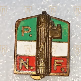 Distintivo PNF Esagonale