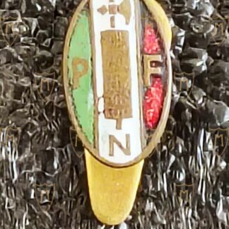 Distintivo Ovale PNF Piccolo