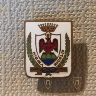 Distintivo Nizza Mod. Grande Arg. 800