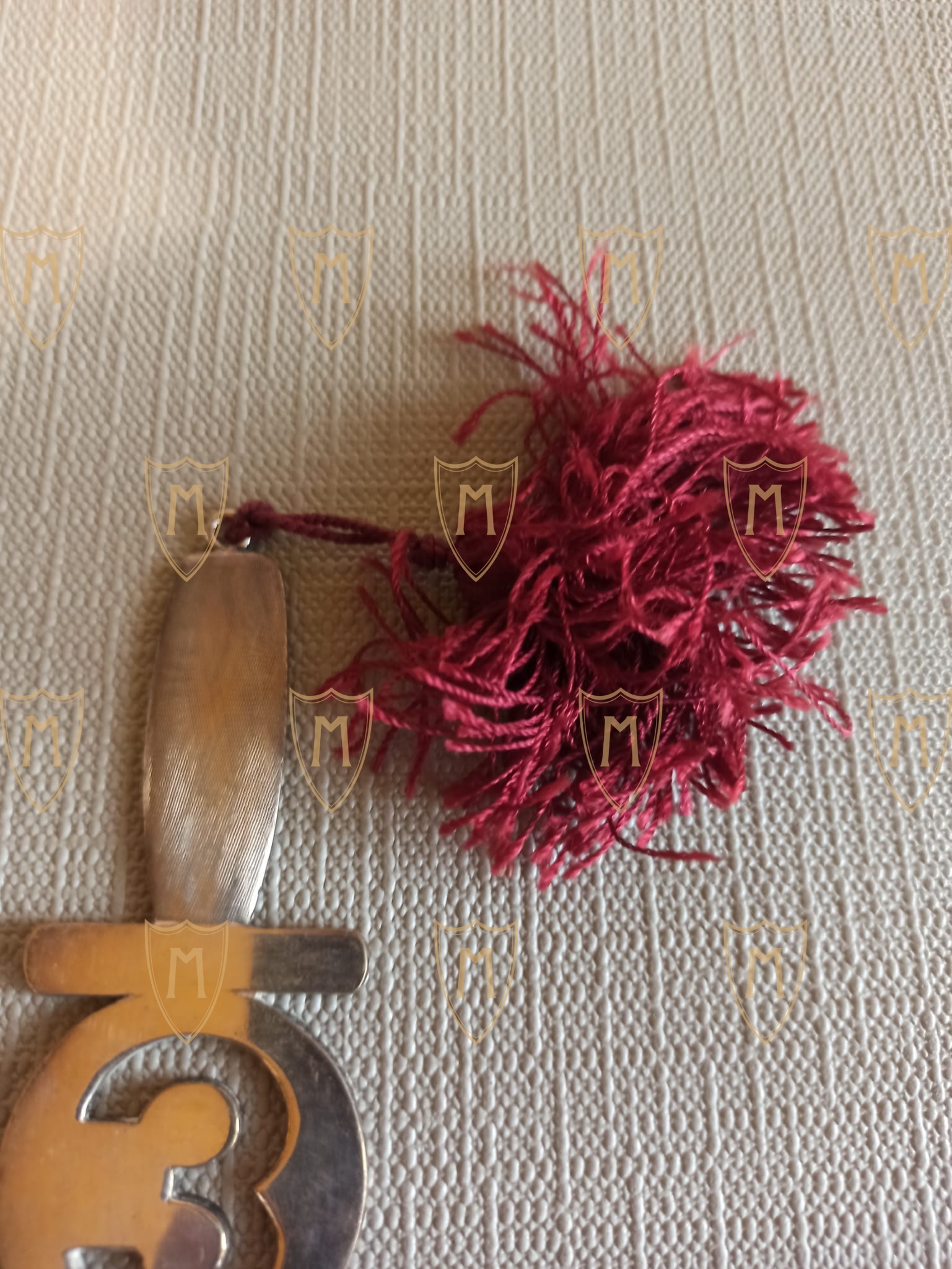 TAGLIACARTE 3° CORSO GENIO GUASTATORI - immagine 3